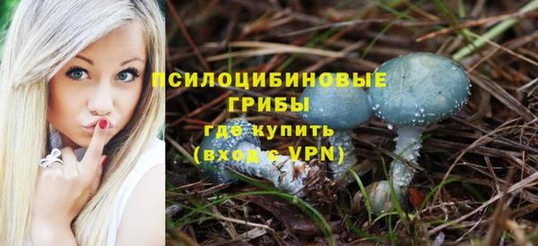 трава Нефтекумск