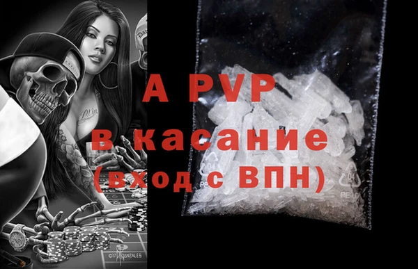 шишки Нея
