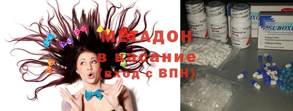 шишки Нея