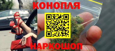 ешки Кингисепп