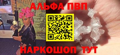 ешки Кингисепп
