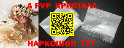 ешки Кингисепп