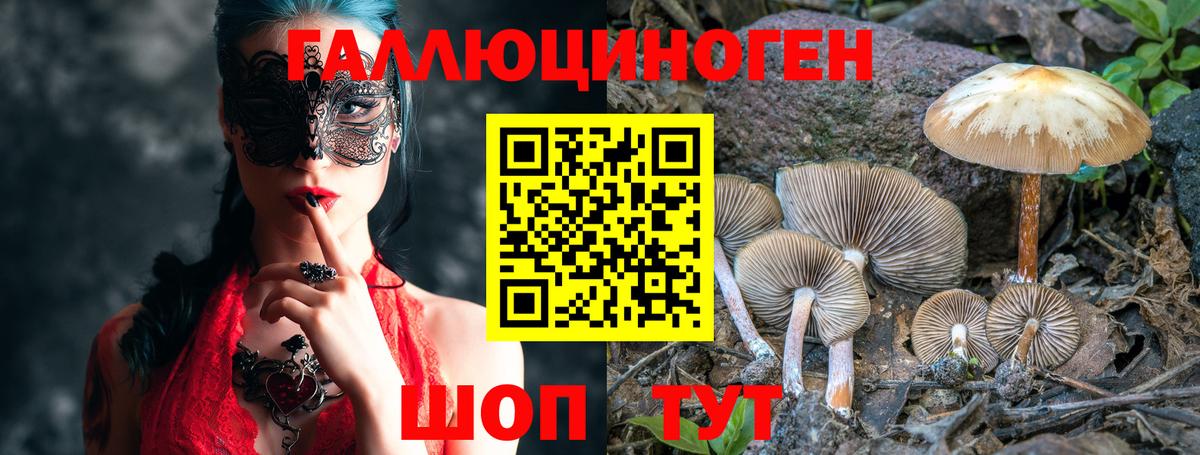 Псилоцибиновые грибы MAGIC MUSHROOMS  Вход с VPN  Кинешма 